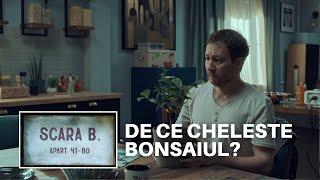 "Ce faci când îți chelește bonsaiul?" | Scara B