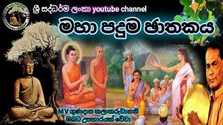 #මහා පදුම ඡාතකය|#maha paduma jathakaya|#විරිදු බණ|#viridu bana|#ඇමි එ ගුණදාස|#ශ්‍රී සද්ධර්ම ලංකා