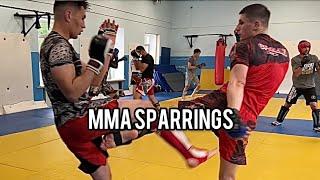 MMA sparring session