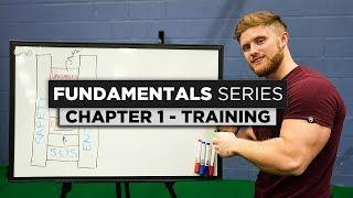 Training Basics & Theory | Chapter 1: The Fundamentals Series