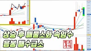 급등후 속임수 음봉 매수 급소 87