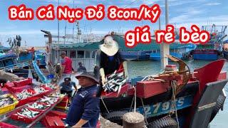 Bán Cá Nục Đỏ Giá Rẻ Bèo