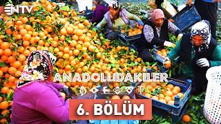 Anadoludakiler 6. Bölüm | Çukurova | NTV