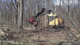 Right-of-Way Clearing with a Feller Buncher