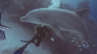 Diving in San Salvador, Bahamas w/Riding Rock Inn and Guanahani Divers