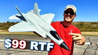 BRUSHLESS FIGHTER Jet!!! FUN, GOOD, EASY TO FLY, & CHEAP!!