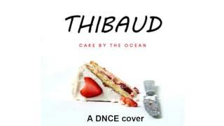 Cake by the Ocean - DNCE cover by Thibaud