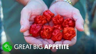 Breeding the World’s Hottest Pepper ️