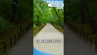 [상림공원] 국내에서 가장 오래된 인공 숲인 경상남도 함양군의 상림공원 [우리나라 방방곳곳 #6]