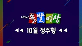 [돌발영상] 2024년 10월 정주행/ YTN