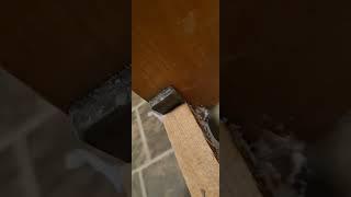 Renovierung Tag 46, zu Teil 1, Bodenausgleich, 01.04.2025 #handwerk #renovierung #bad bad