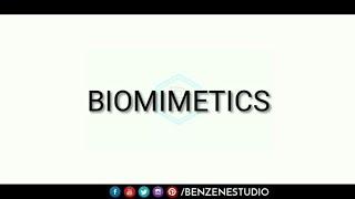 BIOMIMETICS || BENZENESTUDIO