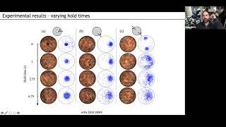 The gas phase of vortex matter