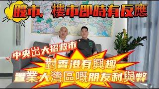 中央岀大招救市｜股市，樓市即時有反應｜對香港有興趣置業大灣區嘅朋友利與弊#臨深樓盤 #大亞灣樓盤#惠州樓盤