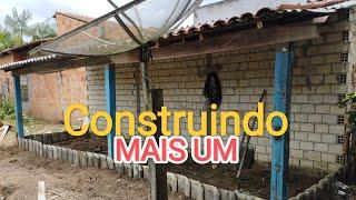 CONSTRUINDO MAIS UM AVIÁRIO!!!!!!