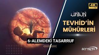 6- Alemdeki tasarruf Delili