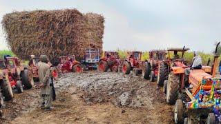 Pulling Power Test | Tractors pulled the trailer out of the mud with great difficulty