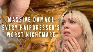 Every hairstylists NIGHTMARE: Massive damage and how I handled it - Hair Melting Storytime Fail