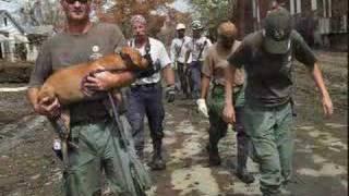 Hurricane Katrina Animal Rescue