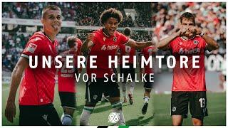 ALLE HEIMTORE vor Schalke | Saison 2024/25