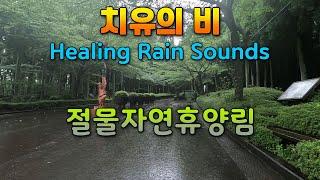 Calm rain sounds to calm your mind and fall asleep / Rain sounds for insomnia and tinnitus treatment