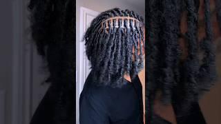 Loc Journey . My locs at 5 months ‍.