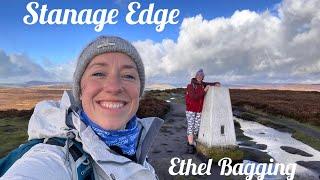 Ethel bagging at Stanage Edge (White Path Moss, High Neb, Stanage Pole).