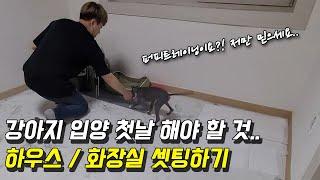 강아지 입양 첫날 해야 할 것!  하우스/화장실 셋팅하기 [퍼피트레이닝]