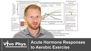 Overview of Acute Hormone Responses to Aerobic Exercise