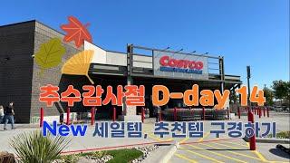  미국 코스트코 Costco 추수감사절 D-day 14 중간 점검 | New 세일템, 추천템 구경하기