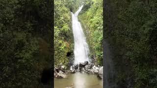 Top places to visit | Lulumahu Falls  #hawaii #imovie #oahu #top #fyp #beautiful #nature