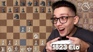 Neue Serie! | Schottisches Gambit | 1823 Elo