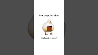Late stage capitalism (explained by ducks)