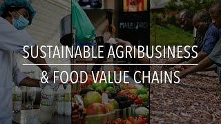 FAO Policy Series: Sustainable Agribusiness & Food Value Chains