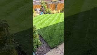 Diagonal Lawn Stripes #lawncare #satisfyingvideo #mowing #lawnmower