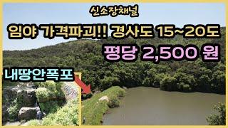 (514번)#경사15-20도 탁트인전망 기가막힌가격 평당2,500원#싼임야매매#의성땅매매#경북땅매매#안동땅매매#의성임야#경북임야#산매매#임업경영#자연인땅#시골땅#오지땅#저수지임야