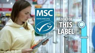 The MSC Is Your Solution For Finding Sustainable Seafood 