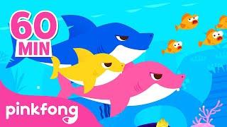 Baby Shark Doo Doo Doo 60 Min | +Compilation | Baby Shark Remix | Pinkfong Baby Shark