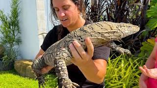 THE WORLD'S BIGGEST REPTILE ZOO 