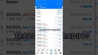 TradeX Bot-Trading ️ | #bottrading #forex