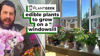 Edible plants to grow indoors on a windowsill | Mr Plant Geek