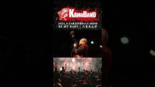 鴨頭嘉人『 BE MY BABY - 六本木心中』LIVE“KAMOバンドTour2024東京”ショート06