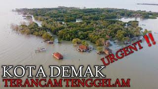 KEGANASAN AIR LAUT MENGANCAM TENGGELAMNYA SAYUNG DEMAK