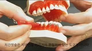 SOOD CPS2 [How to Keep My Teeth Healthy - Interdental Brush 2/6]