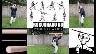 Bo staff (Rokushaku) Fighting Kata Ninja Training #bostaff #bujinkan #karate #budo #ninja #kata