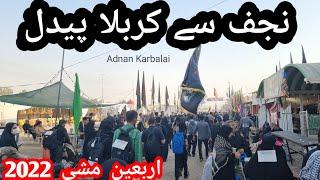 Arbaeen Walk 2022 || Najaf To Karbala || Vlog 2