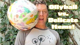 Ollyball vs. Delicate Items