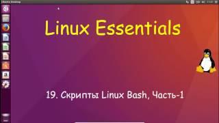 Linux для Начинающих - Скрипты Linux Bash, Часть-1