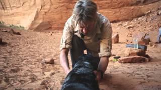 Ace and the Desert Dog - from Vasque Hiking Footwear