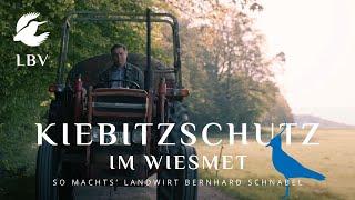 Kiebitzschutz im Wiesmet – Landwirt Bernhard Schnabel